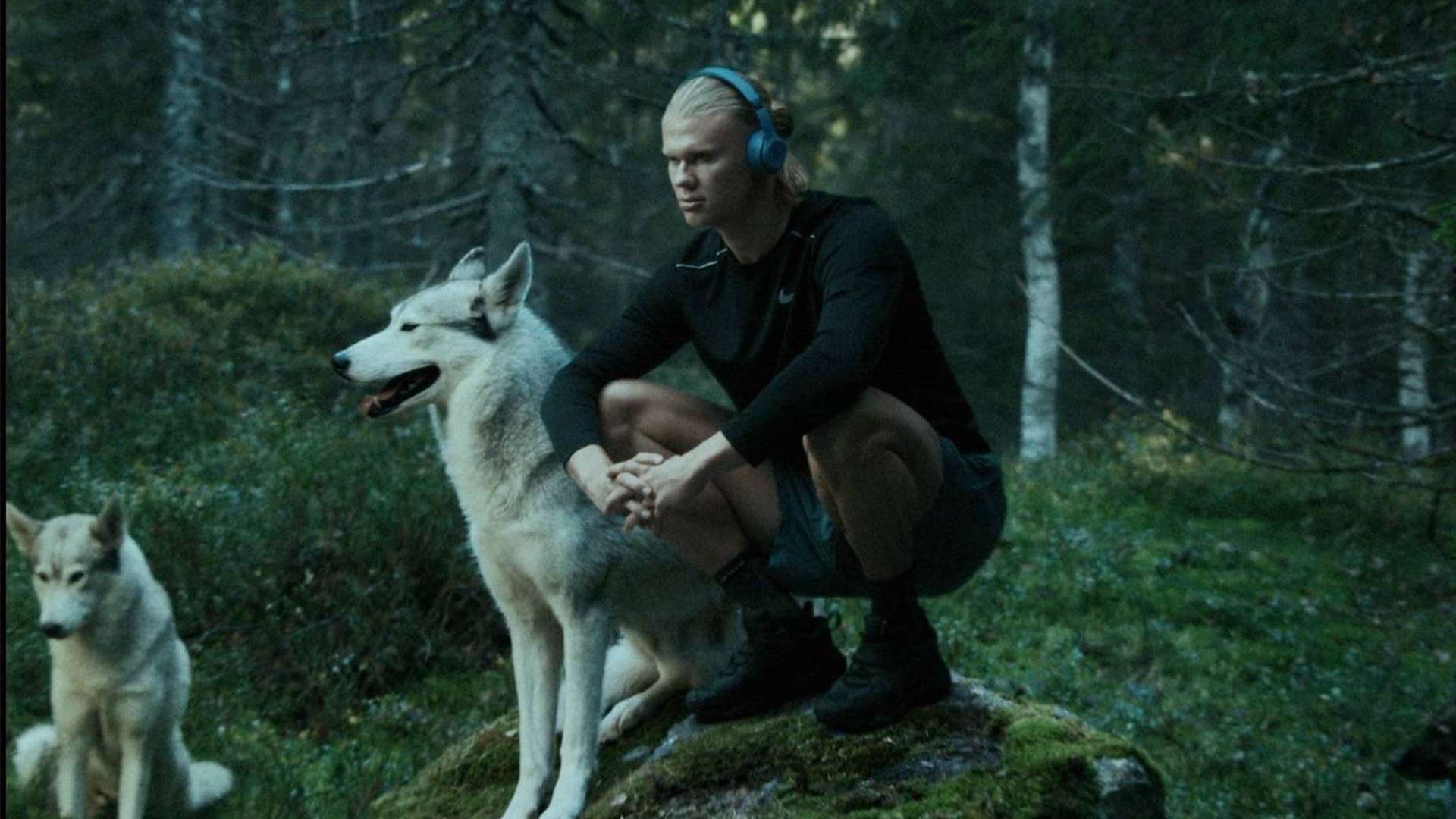 生死战将是 生死战将是